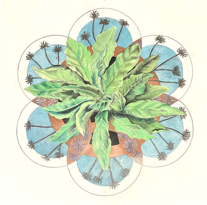 Life is in the Balance: Mullein, 1923, wax crayon on paper, 30 x 30 in. / 76.2 x 76.2 cm.