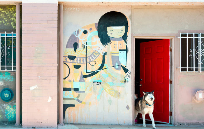 Open Door with Siberian Husky, 2024, 2024, archival pigment print, 13 x 19 in. / 33.02 x 48.26 cm.