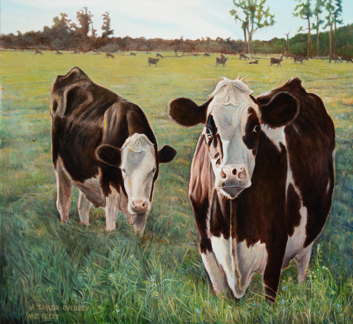 Cows, Savannah, Georgia, 2025, oil on canvas, 45.5 x 42 in. / 115.57 x 106.68 cm.