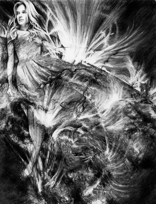 Pastures of the Sun, 2016, graphite on paper, 16 x 20 in. / 40.64 x 50.8 cm.