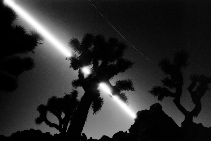 Path of the Moon, Joshua Tree National Park, 2021, gelatin silver print, 8 x 14 in. / 20.32 x 35.56 cm.