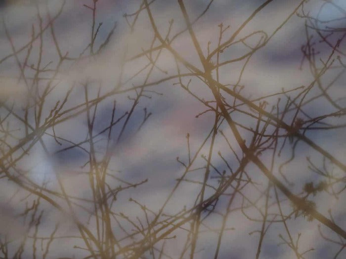 Peaceful, 2024, photography on canvas, 16 x 16 in. / 40.64 x 40.64 cm.