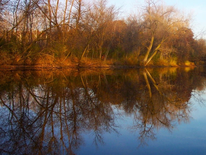 Perfect Morning, 2024, photography, 12 x 16 in. / 30.48 x 40.64 cm.