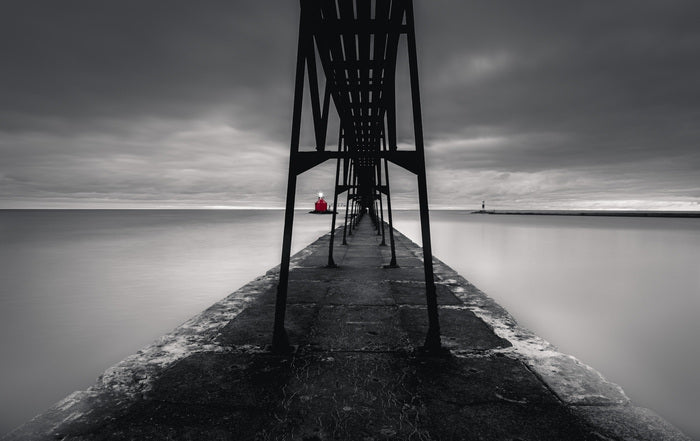 Radiant Sentinel, 2023, photography, 6 x 8 in. / 15.24 x 20.32 cm.