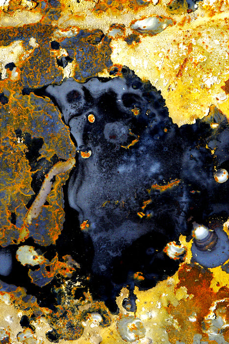 Reckoning, Arising from the Gray Fire, Medical Lake, 2023, archival pigment print, 13 x 19 in. / 33.02 x 48.26 cm.