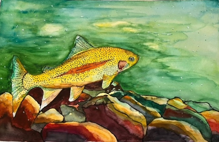 Red Stripe Trout, 2024, watercolor, 15 x 22 in. / 38.1 x 55.88 cm.