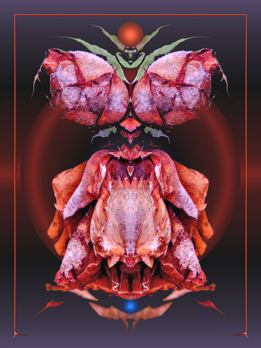 Red Thing, 2023, digital photography, 24 x 18 in. / 60.96 x 45.72 cm.