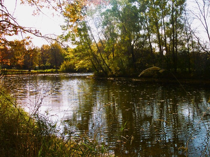 Ripple Effect, 2024, photography, 12 x 16 in. / 30.48 x 40.64 cm.