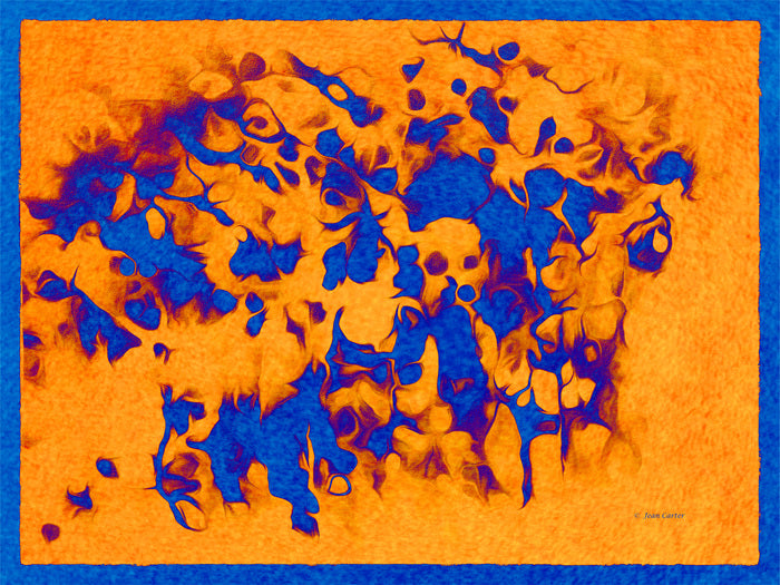 Rodger's Zoo II, 2024, mixed media, 15 x 20 in. / 38.1 x 50.8 cm.