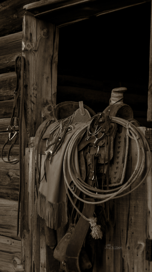 Cowboy Tack, 2013, photography, 9 x 16 in. / 22.86 x 40.64 cm.