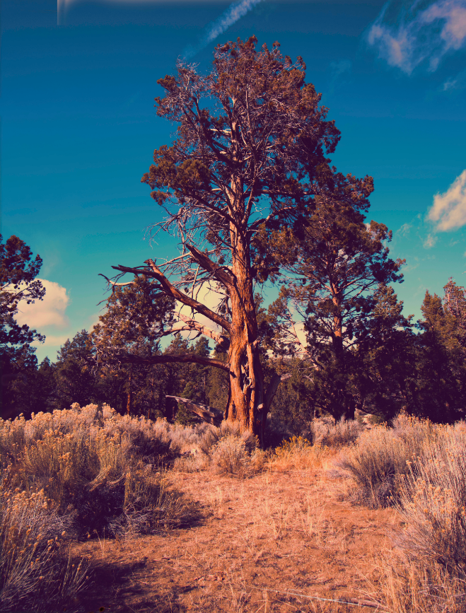 Relic from the Family Trip, 2023, photography, 11 x 14 in. / 27.94 x 35.56 cm.
