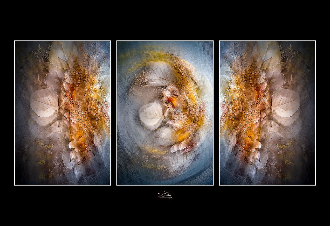 Sonogram of the Universe, 2025, photography, 24 x 18 in. / 60.96 x 45.72 cm.