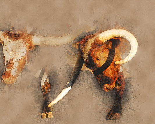 Step Back!, 2020, photography, 12 x 15 in. / 30.48 x 38.1 cm.