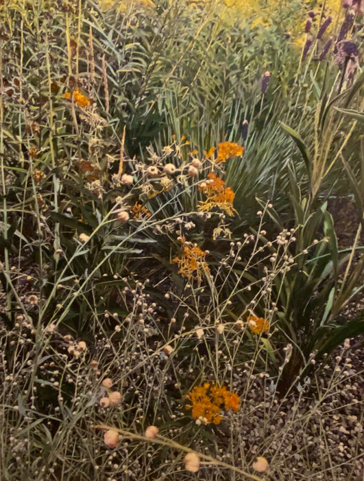 Sun Hemp with Milkweed, 2022, oil on canvas, 48 x 36 in. / 121.92 x 91.44 cm.