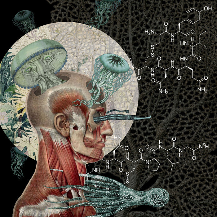 The Evolution of Love, 2022, digital collage, 12 x 12 in. / 30.48 x 30.48 cm.