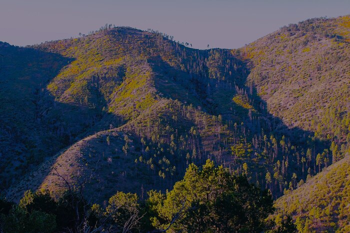 The Shape of a Day, 2024, photography, 12 x 18 in. / 30.48 x 20.32 cm.