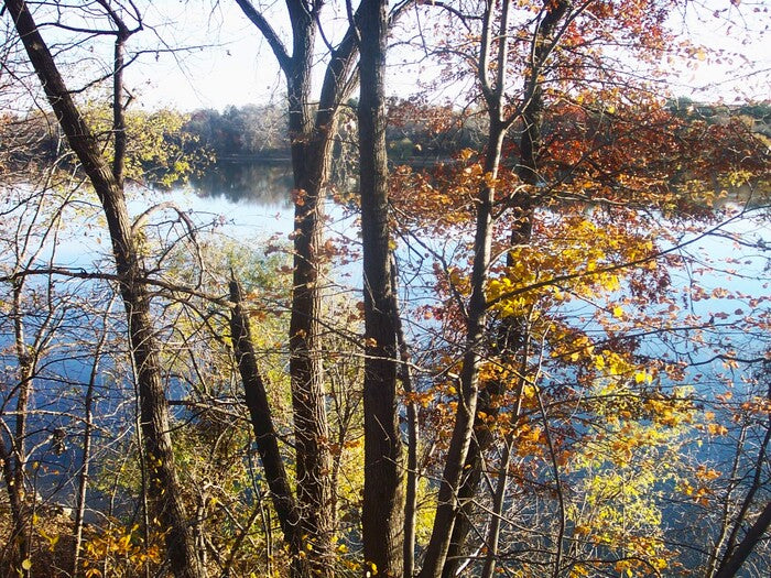 The Way Through, 2024, photography, 16 x 12 in. / 40.64 x 30.48 cm.