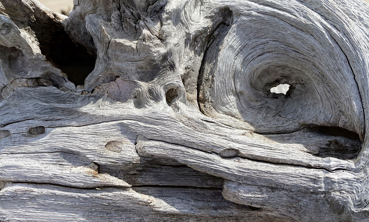 Tunneled Marvels, 2023, photography, 11 x 14 in. / 27.94 x 35.56 cm.