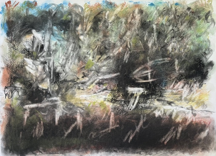 Untitled, 2024, conte on paper, 18 x 24 in. / 45.72 x 60.96 cm.