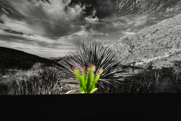 West Texas Distant_2, 2019, archival inkjet print, 16 x 24 in. / 40.64 x 60.96 cm.