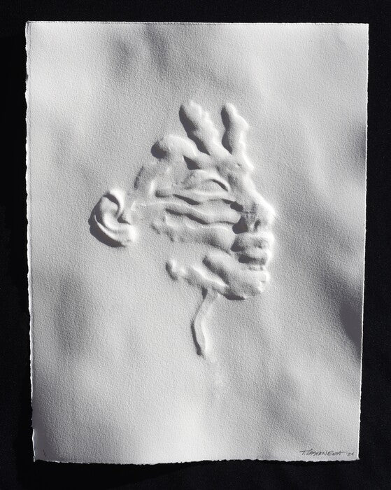 Wise, 2024, printmaking, 11 x 15 in. / 27.94 x 38.1 cm.