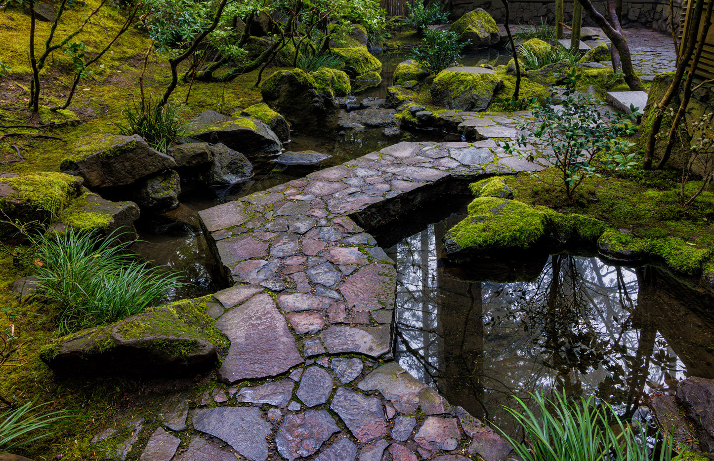 Zig Zag Path, 2024, photography, 16 x 20 in. / 40.64 x 50.8 cm.