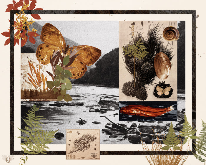 Appalachia, 2021, digital collage, 11 x 14 in. / 27.94 x 35.56 cm.