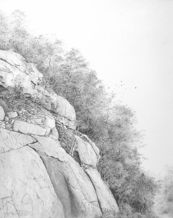 Blue Ridge Sonnet #40, 2019, graphite, 36 x 30 in. / 91.44 x 76.2 cm.