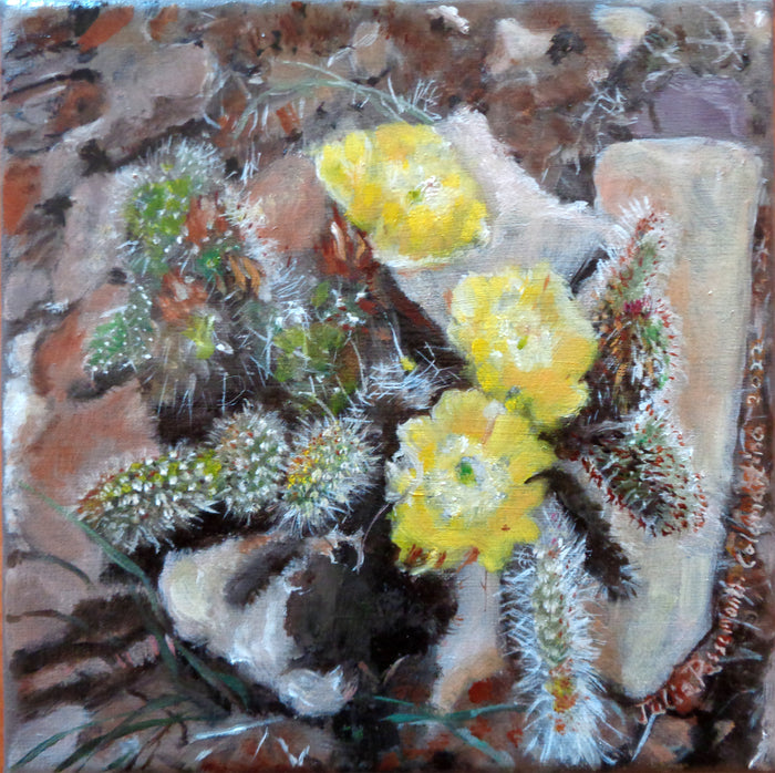 Cactus Fiesta No. 2, 2022, oil on linen, 6 x 6 in. / 15.24 x 15.24 cm.
