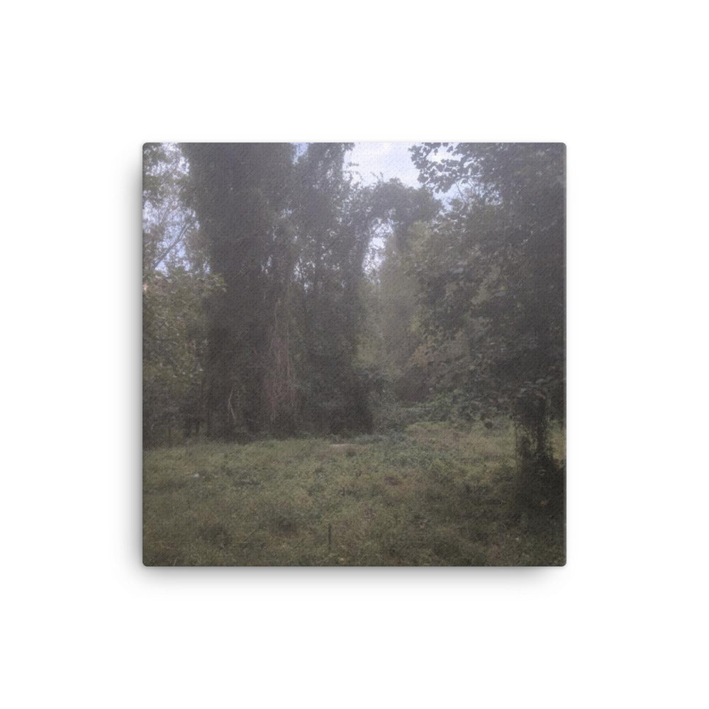 Hell House, 2023, photography on canvas print