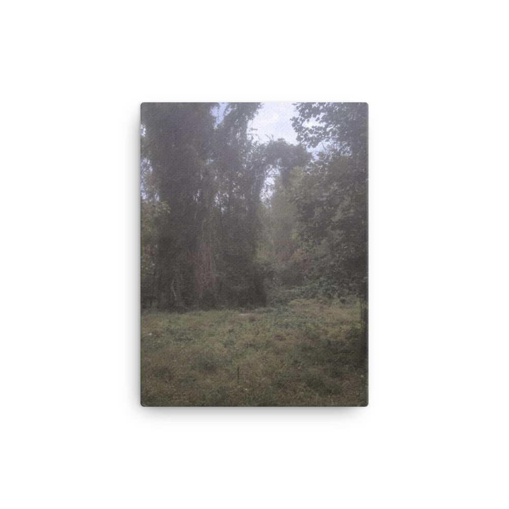 Hell House, 2023, photography on canvas print