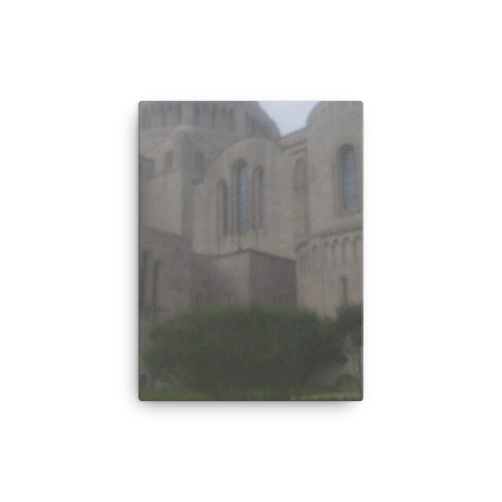 National Shrine, 2023, photography on canvas print