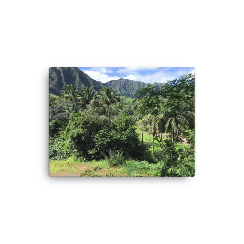 Untitled, 2023, photography on canvas print