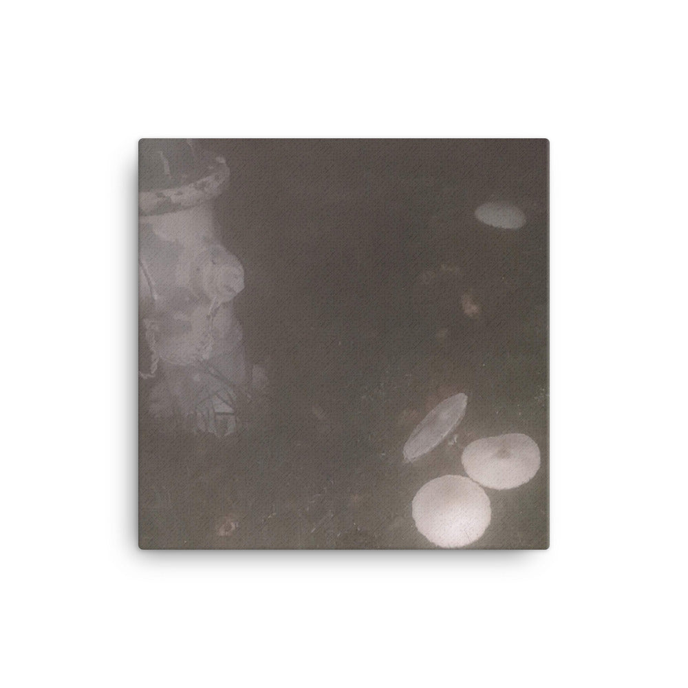 Untitled, 2023, photography on canvas print
