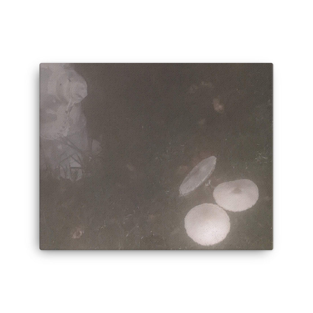 Untitled, 2023, photography on canvas print
