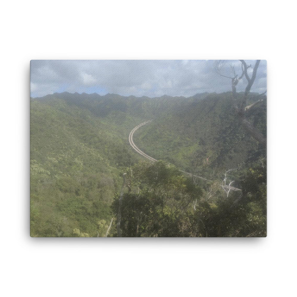 H-3 From Aiea Loop, 2023, photography on canvas print