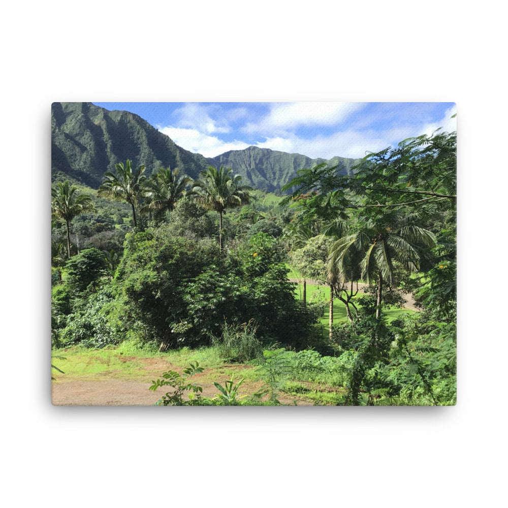 Untitled, 2023, photography on canvas print