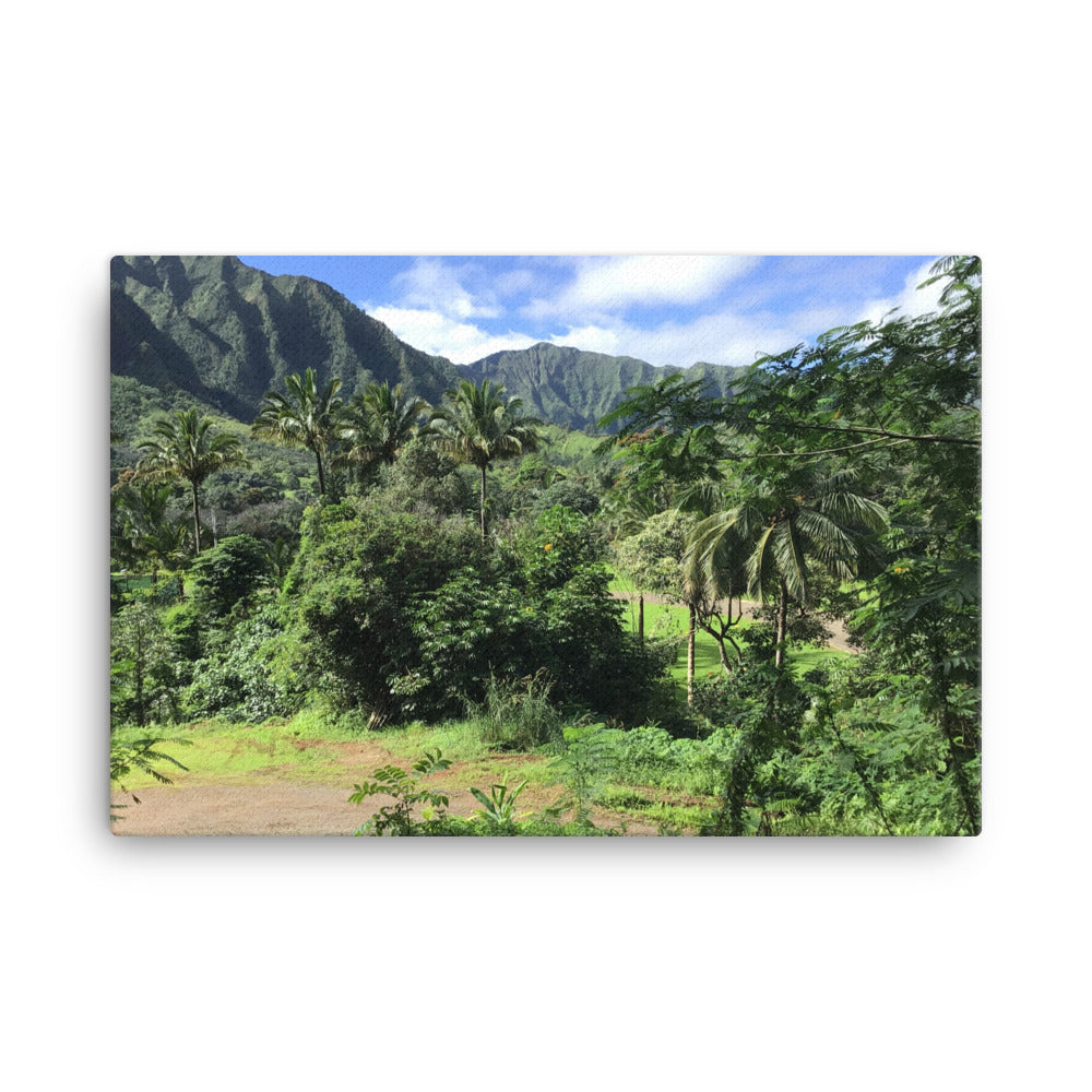 Untitled, 2023, photography on canvas print