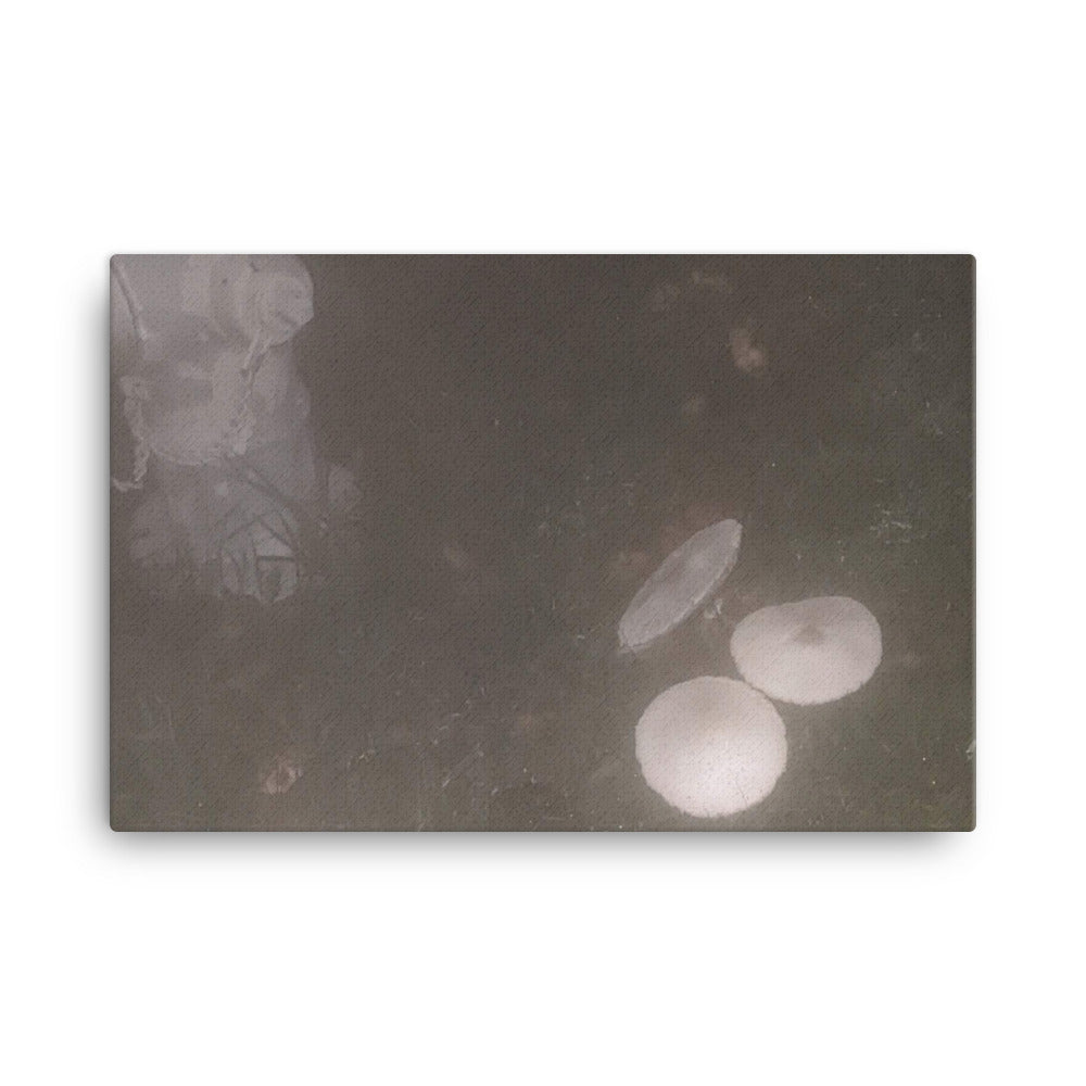 Untitled, 2023, photography on canvas print