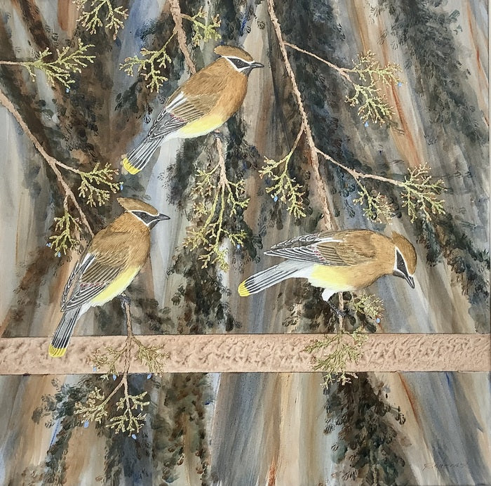 Cedar Waxwings, 2023, watermedia on paper, 21 x 20 in. / 53.34 x 50.8 cm.