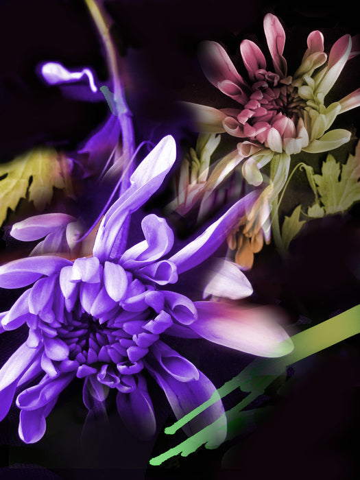 Color Collage Flowers, 2022, digital media, 16 x 12 in. / 40.64 x 30.48 cm.