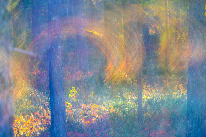 Colour of the Wind, 2023, printed on hahnemuhle bamboo fine art paper, 11.4 x 16.5 in. / 29 x 42 cm.