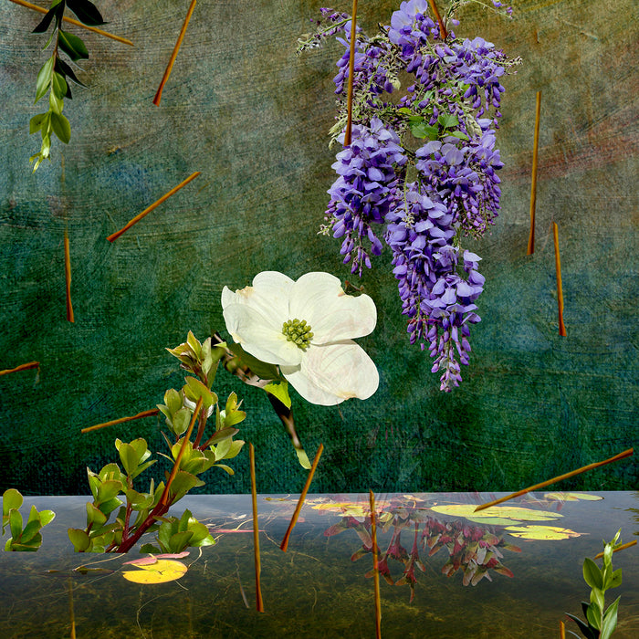 Cooper, 2023, photo painting, 23 x 23 in. / 58.42 x 58.42 cm.