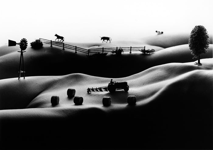 Farmlands, 2009, black and white photography, 20 x 24 in. / 50.8 x 60.96 cm.