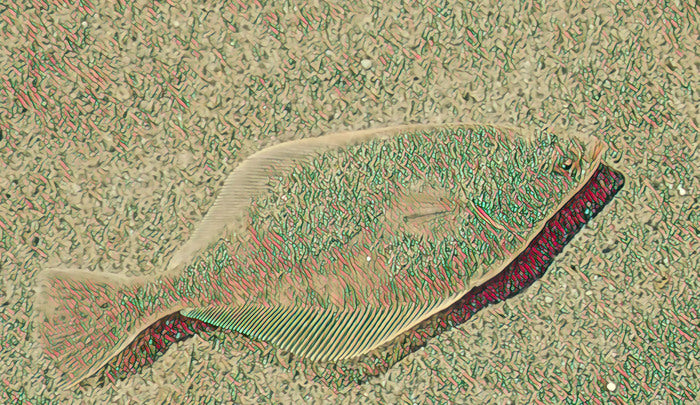Floundering, 2020, photography, 7 x 12 in. / 17.78 x 30.48 cm.