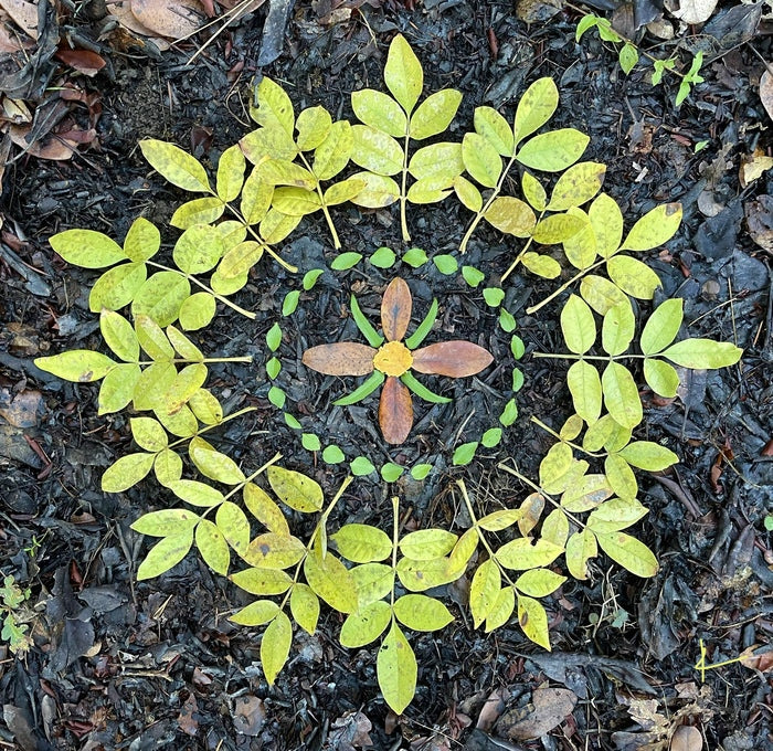 Flower Within a Flower, 2021, land art, 20 x 20 in. / 50.8 x 50.8 cm.