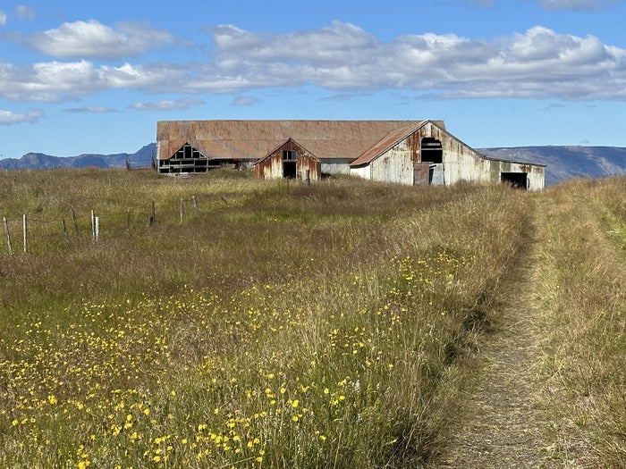 Forgotten Icelandic Barn, 2023, photography, 23 x 32 in. / 58.42 x 81.28 cm.