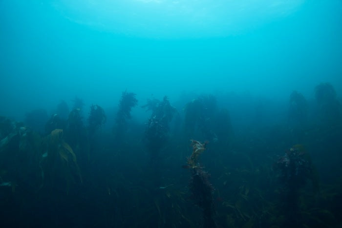 Glassilaun Bay (2645), 2022, digital photography, 30 x 45 in. / 76.2 x 114.3 cm.