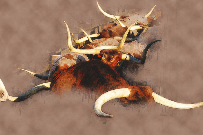 Horns A Plenty, 2020, photography, 20 x 12 in. / 50.8 x 30.48 cm.