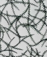Entwined Leaves, 2020, watercolor on watercolor paper, 18 x 24 in. / 45.72 x 60.96 cm.